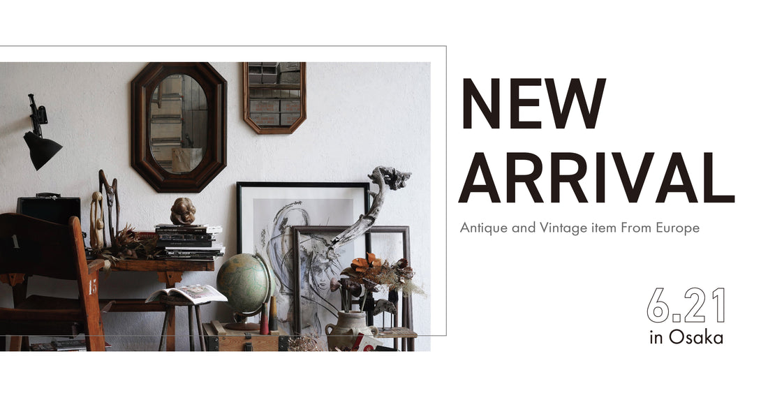 【 SHARK ATTACK OSAKA 】NEW ARRIVAL !! - SHARK ATTACK ONLINE SHOP