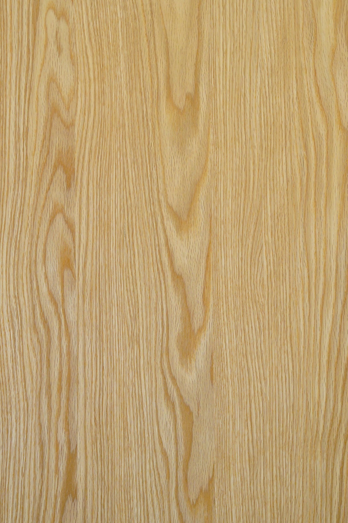 RIL<br>TABLE TOP CIRCLE φ800 / OAK -テーブル天板-<br>RIL<br>大和店、大阪店、cerote antiques - ヴィンテージ SHARK ATTACK
