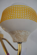 5灯フロストガラスシャンデリア <br> cerote antiques