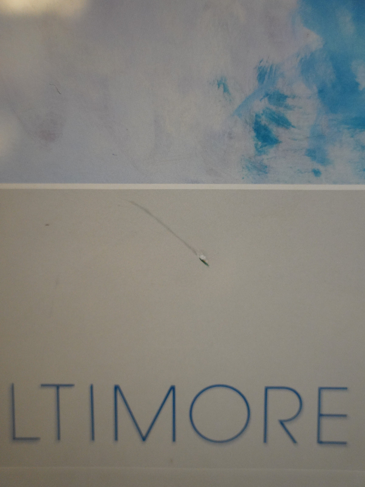 Baltimore Symphony Orchestra - ウォールアート - America