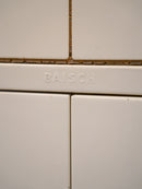 Karl Baisch <br>デンタルキャビネット <br>1950's , Germany <br> 大和店
