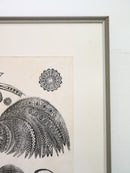 Nils Aas <br> ウォールアート <br> 1968 , Norway <br> 大和店