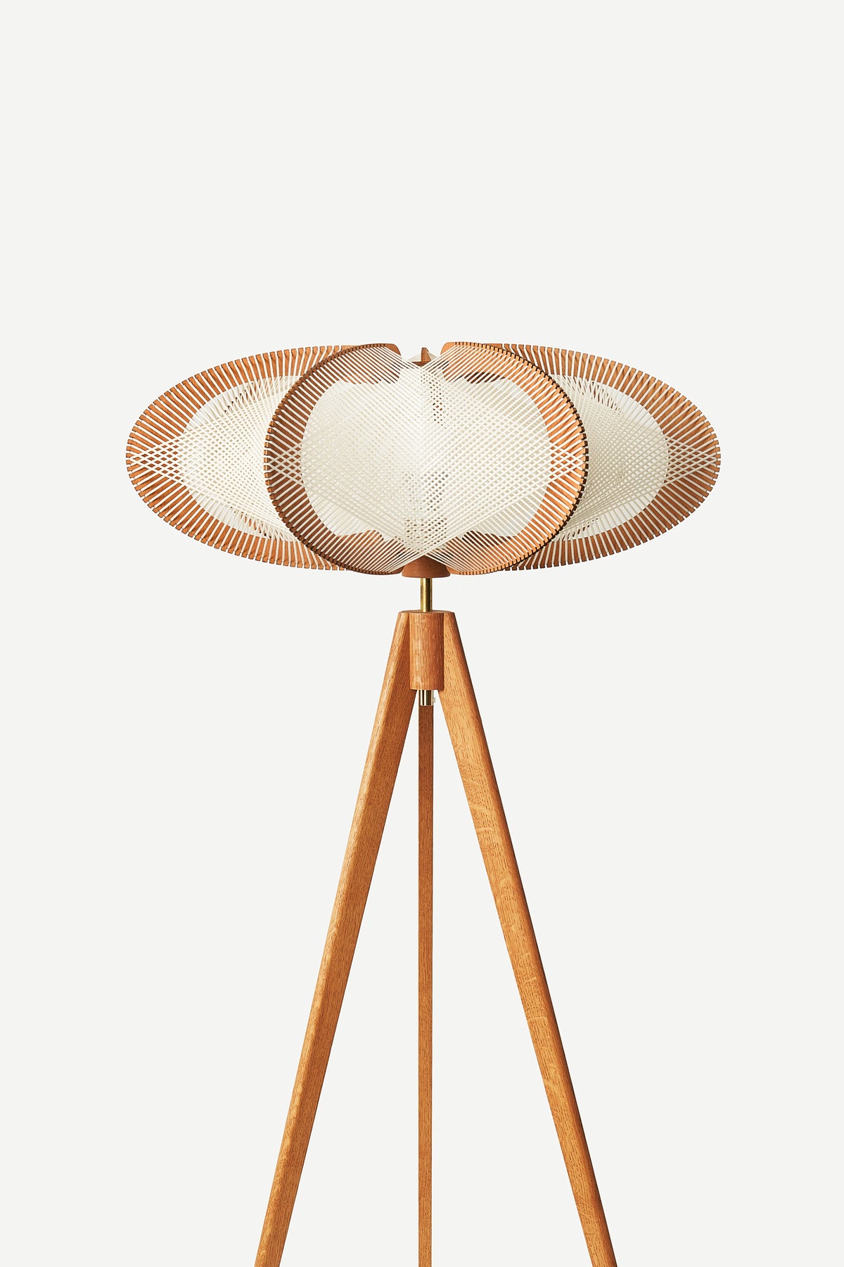 LAFABLIGHT <br> ETIOLA <br> Floor Lamp - ヴィンテージ SHARK ATTACK
