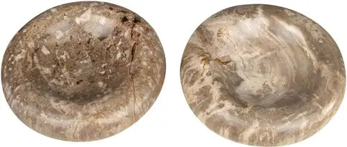 Petrified Wood Burger Bowl  <br>bob's box