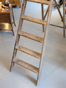 ウッドラダー <br>1950's-1970's EURO <br>TAMAGAWA BASE